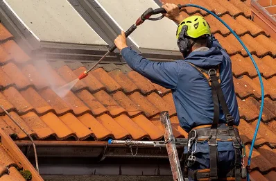 Démoussage et hydrofuge de toiture à Logron